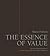 The Essence of Value by Mario Pricken