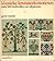 Klassieke kruissteek-motieven : ruim 500 voorbeelden met telpatronen