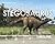 Digging for Stegosaurus (Dinosaur Discovery Timelines)