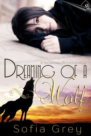 Dreaming of a Wolf (Snowdonia Wolves, #2.2)