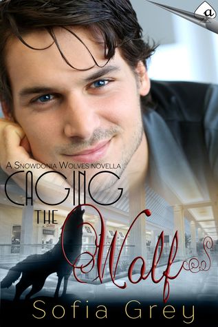 Caging The Wolf (Snowdonia Wolves, #2.1)