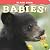 Black Bear Babies! by Jessica Solberg