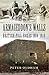 Armageddon's Walls by Peter Oldham