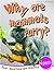 Why Are Mammals Furry?