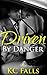 Driven by Danger: Driven Serial Romance Episode #5