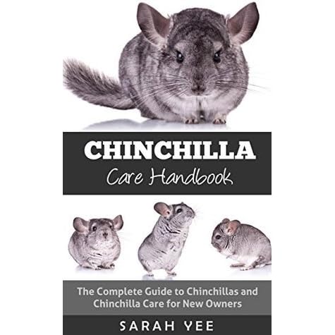 chinchilla care guide