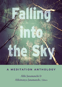 Falling into the Sky (Paperback)