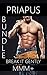 Break It Gently: Gay Threesome 3 Story Erotic Bundle
