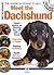 Meet the Dachshund (American Kennel Club's Meet the Breed)