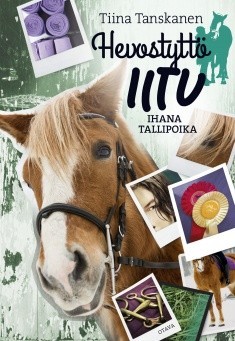 Ihana tallipoika (Hevostyttö Iitu #2)