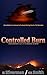 Controlled Burn (The Randoms Act Series Book 2)