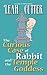 The Curious Case of Rabbit and the Temple Goddess (Rabbit Stories Book 1)