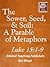 Sower, Seed and Soil by Richard Alan