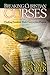 Breaking Christian Curses by Dennis Cramer