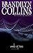 Web of Lies (Hidden Faces, #4)