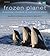 Frozen Planet: de oneindige schoonheid van onze bevroren planeet
