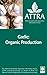 Garlic: Organic Production
