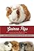 Guinea Pigs: How to care for your Guinea Pig and everything you need to know to keep them well