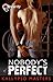 Nobody's Perfect by Kallypso Masters