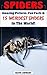 Spiders: 15 Weirdest Spiders in The World! Amazing Pictures, Fun Facts and More! (Weirdest Animals in the World, #4)