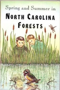 Spring and Summer in North Carolina Forests