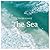 The Life & Love of the Sea