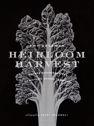 Heirloom Harvest: Modern Daguerreotypes of Historic Garden Treasures (Hardcover)
