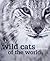 Wild Cats of the World