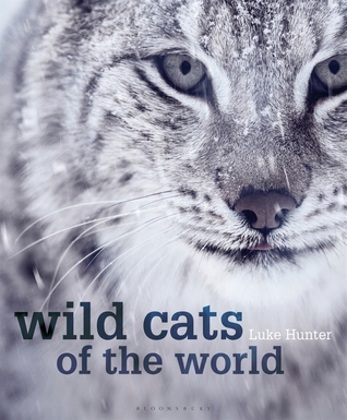 Wild Cats of the World (Hardcover)