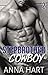Stepbrother Cowboy 2
