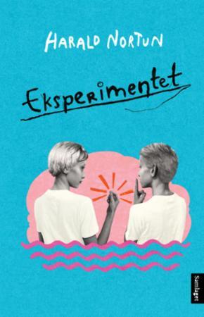 Eksperimentet (Hardcover)