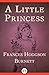 A Little Princess by Frances Hodgson Burnett