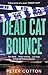 Dead Cat Bounce (Darren Glass #1)