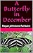 A Butterfly in December