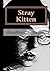 Stray Kitten