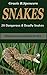 SNAKES: 20 Dangerous & Deadly Snakes (Dangerous Animals Series)