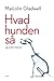 Hvad hunden så