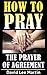 The Prayer of Agreement (How To Pray Book 7)