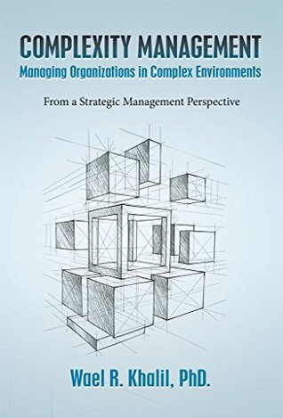 Complexity Management: Managing Organizations in Complex Environments: From a Strategic Management Perspective (Kindle Edition)