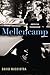 Mellencamp: American Troubadour