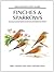 Finches and Sparrows (Helm Identification Guides)
