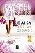 Daisy está na cidade by Rachel Gibson