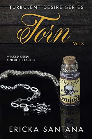 Torn vol.3: Wicked Deeds Sinful Pleasures (Turbulent Desire Series)