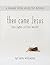 Then Came Jesus by Lara Williams