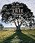 The Splendour of the Tree: An Illustrated History