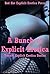 A Bunch of Explicit Erotica: Twenty Explicit Erotica Stories