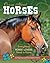 Crazy About Horses: Everything Horse Lovers Need to Know