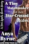 A Tiny Matchmaker for Two Star-Crossed Mates (Lone Wolf Pack, #6.1)