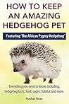 Hedgehogs as Pets...