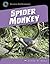 Spider Monkey (21st Century Skills Library: Exploring Our Rainforests)